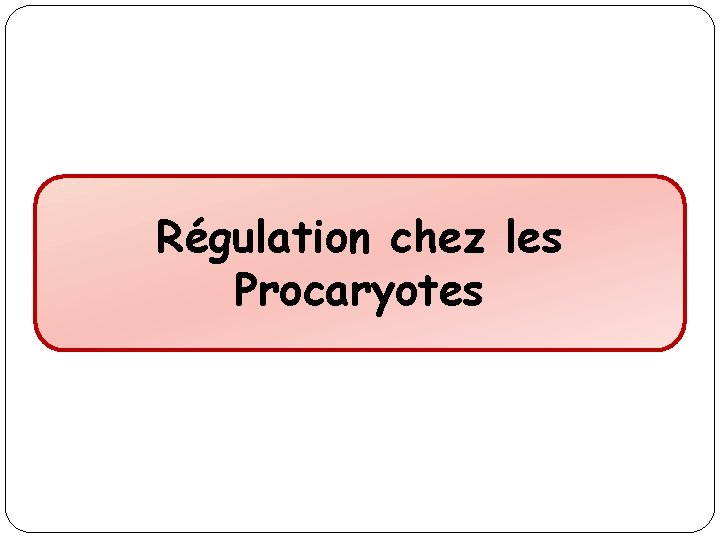 Régulation chez les Procaryotes 