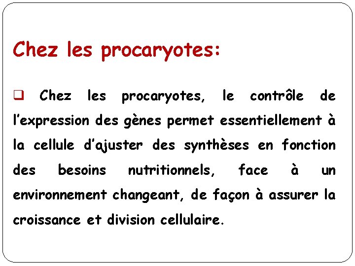 Chez les procaryotes: q Chez les procaryotes, le contrôle de l’expression des gènes permet