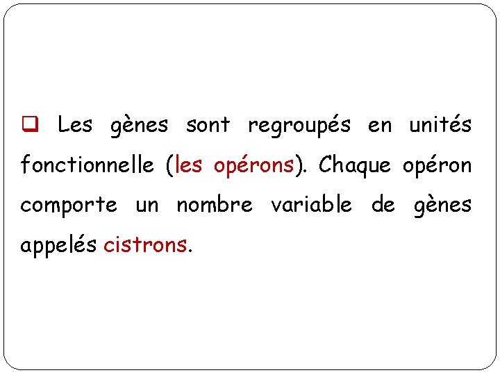 q Les gènes sont regroupés en unités fonctionnelle (les opérons). Chaque opéron comporte un