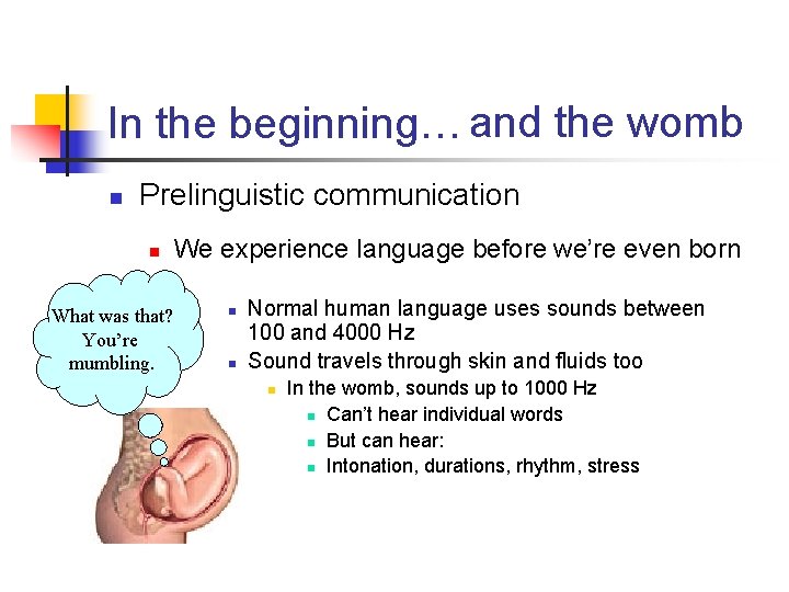 In the beginning… and the womb n Prelinguistic communication n What was that? You’re