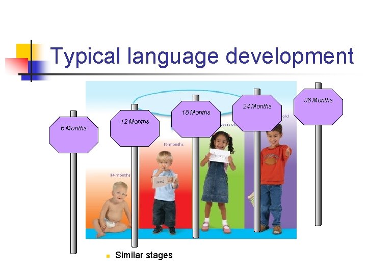 Typical language development 18 Months 12 Months 6 Months n Similar stages 24 Months