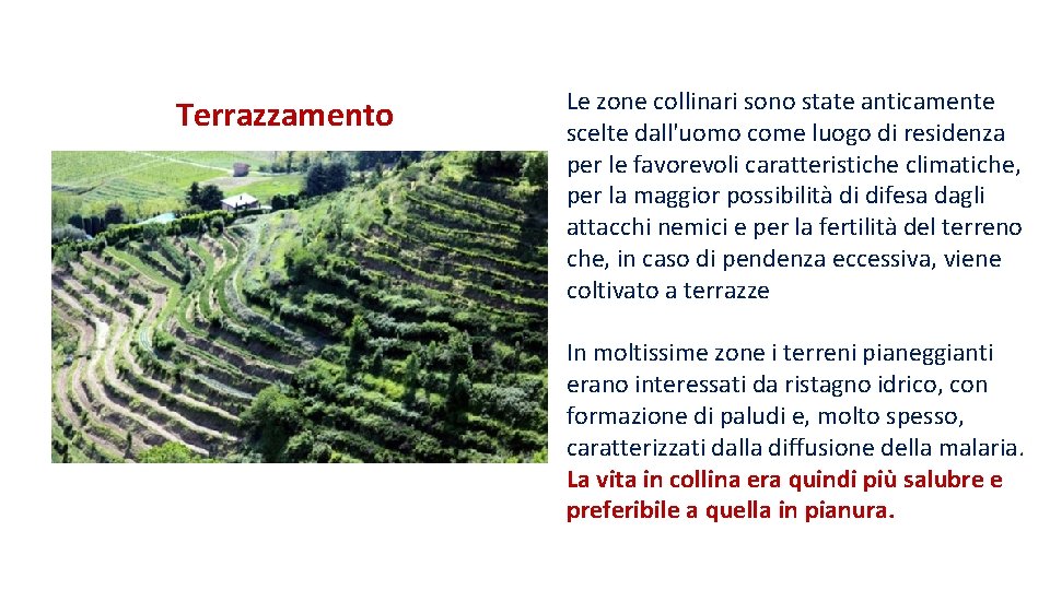 Terrazzamento Le zone collinari sono state anticamente scelte dall'uomo come luogo di residenza per