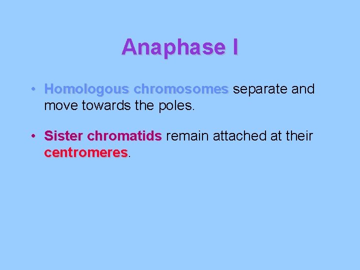 Anaphase I • Homologous chromosomes separate and move towards the poles. • Sister chromatids