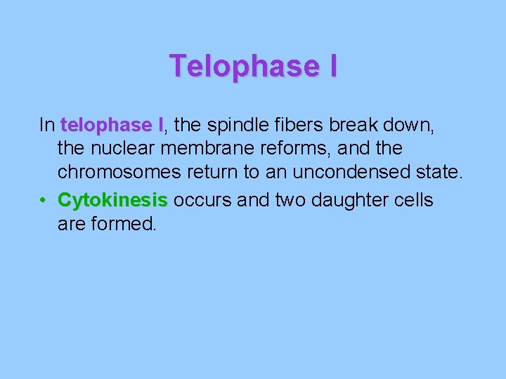 Telophase I In telophase I, I the spindle fibers break down, the nuclear membrane