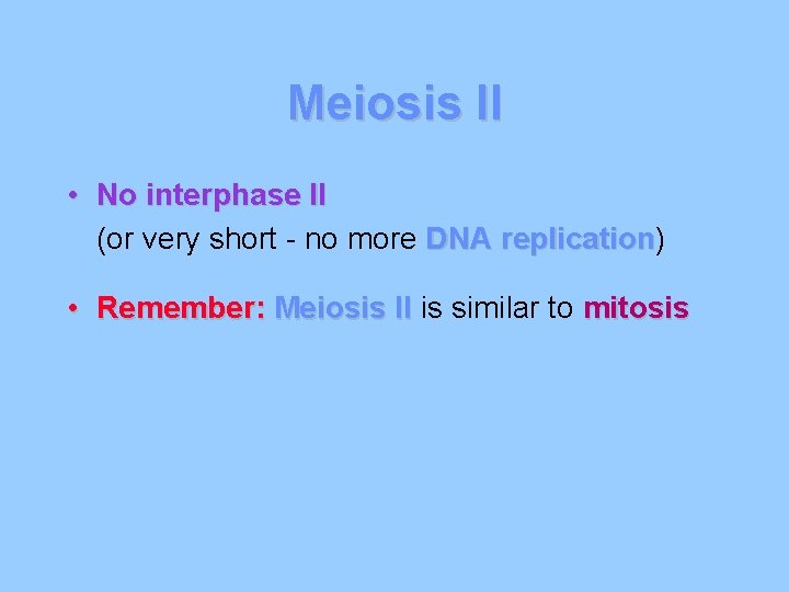 Meiosis II • No interphase II (or very short - no more DNA replication)