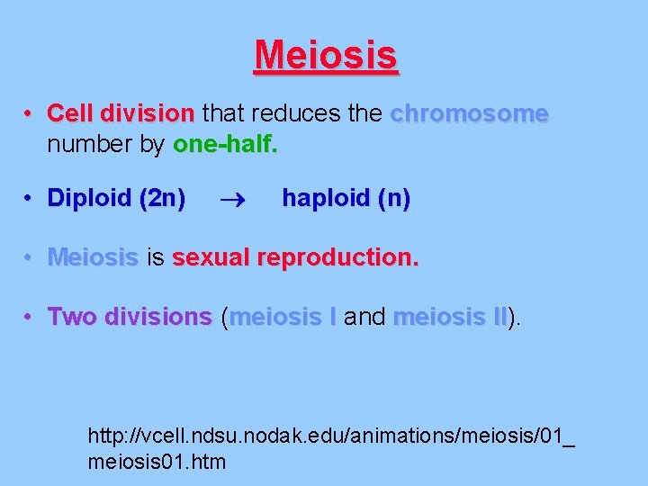 Meiosis • Cell division that reduces the chromosome number by one-half. • Diploid (2