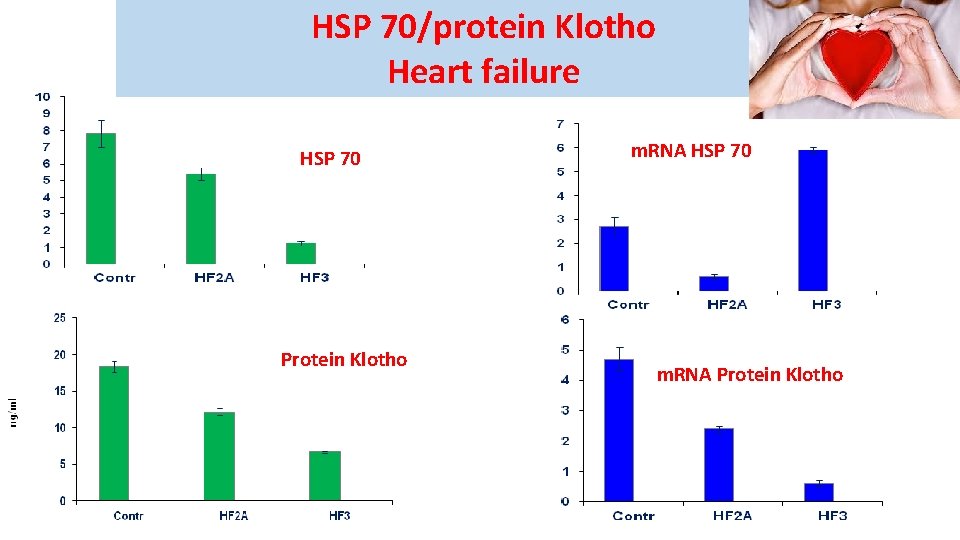 HSP 70/protein Klotho Heart failure HSP 70 Protein Klotho m. RNA HSP 70 m.