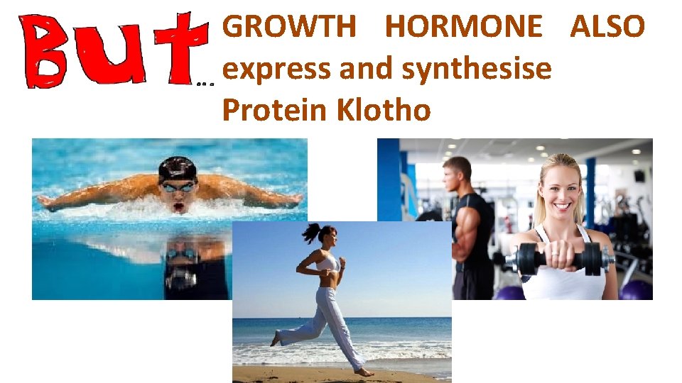 GROWTH HORMONE ALSO express and synthesise Protein Klotho 