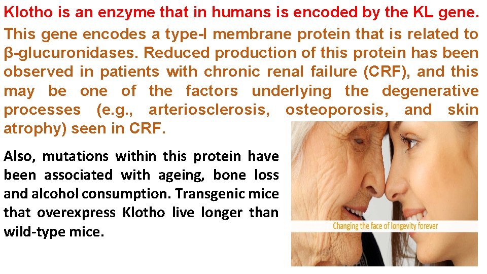 Klotho is an enzyme that in humans is encoded by the KL gene. This