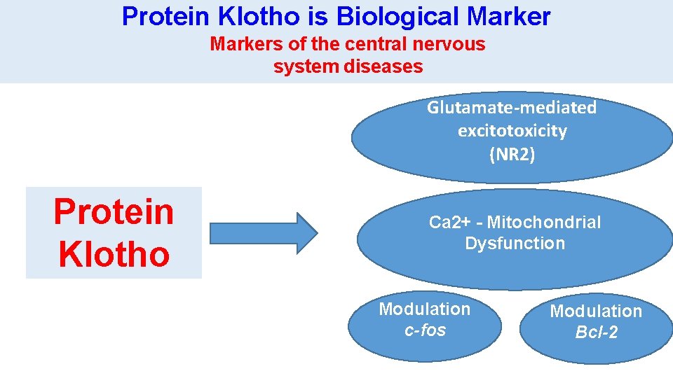 Protein Klotho is Biological Markers of the central nervous system diseases Glutamate-mediated excitotoxicity (NR