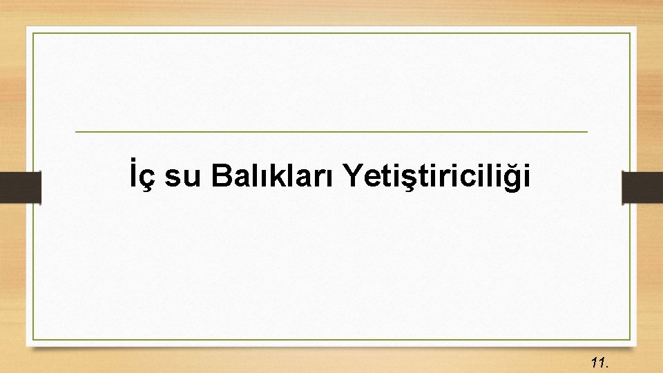 İç su Balıkları Yetiştiriciliği 11. 
