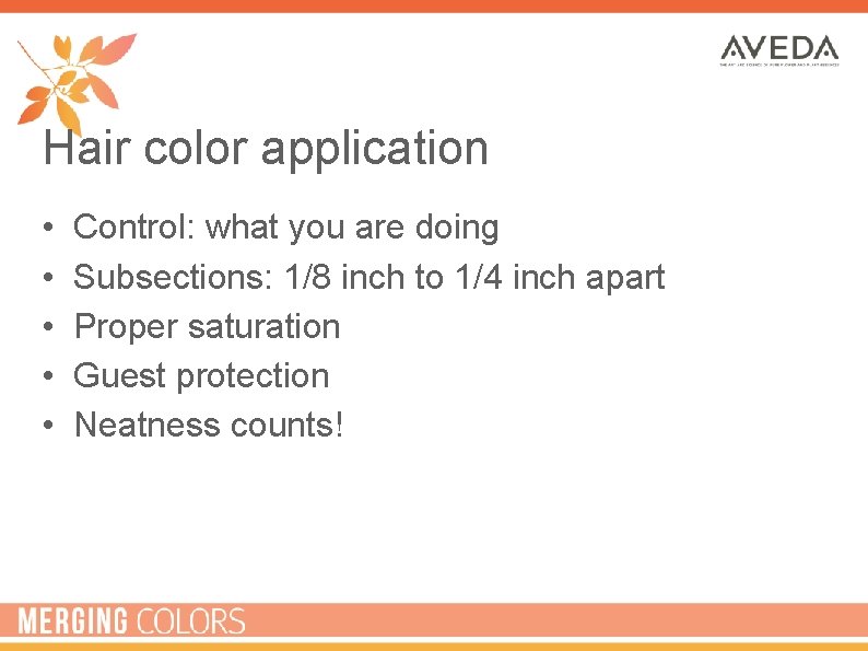 Hair color application • • • Control: what you are doing Subsections: 1/8 inch