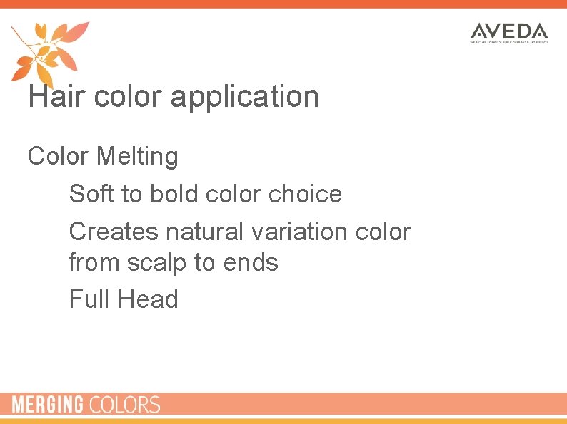 Hair color application Color Melting • Soft to bold color choice • Creates natural