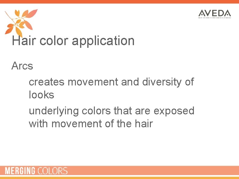 Hair color application Arcs • creates movement and diversity of looks • underlying colors