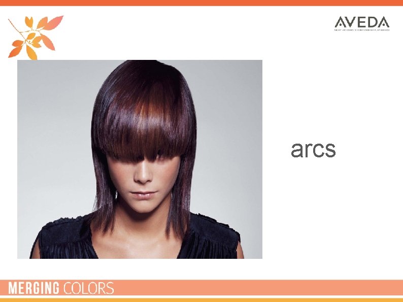 arcs 