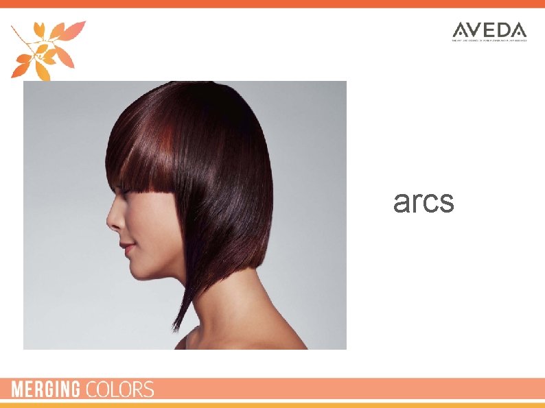 arcs 