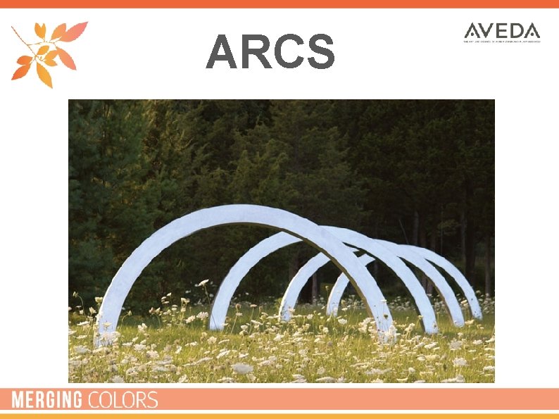 ARCS 