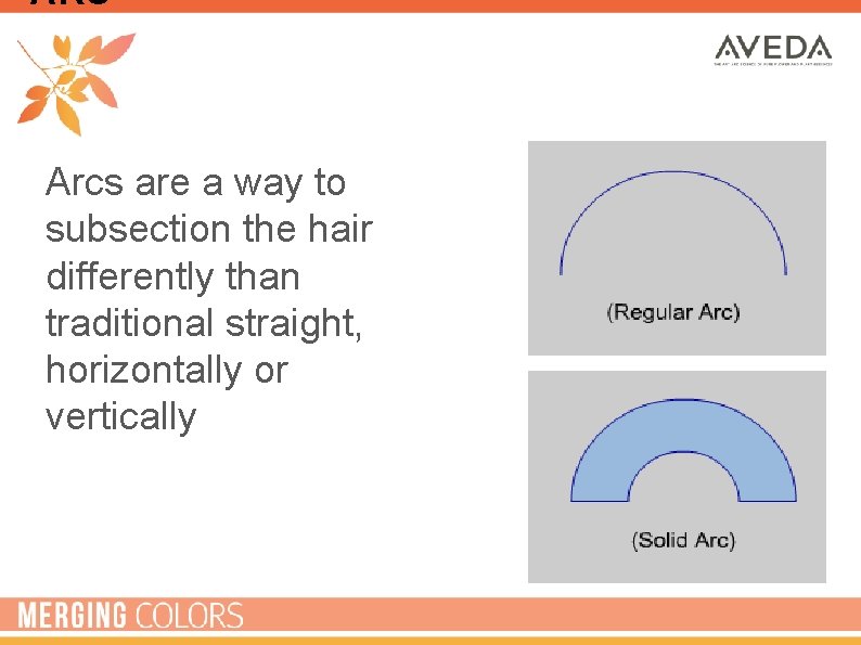 ARC Arcs are a way to subsection the hair differently than traditional straight, horizontally