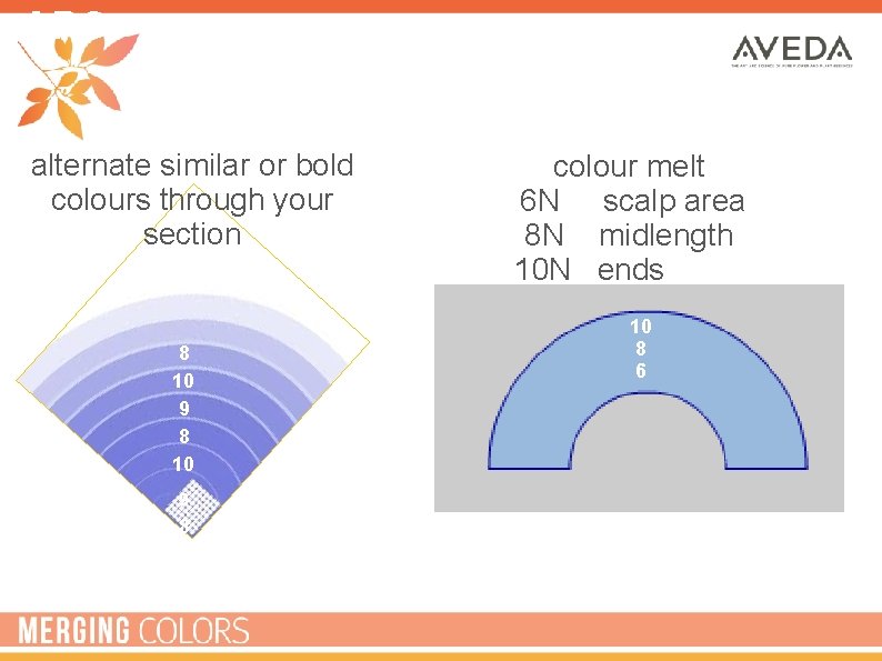 ARC alternate similar or bold colours through your section 8 10 9 8 colour