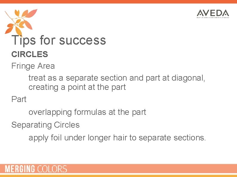 Tips for success CIRCLES Fringe Area • treat as a separate section and part