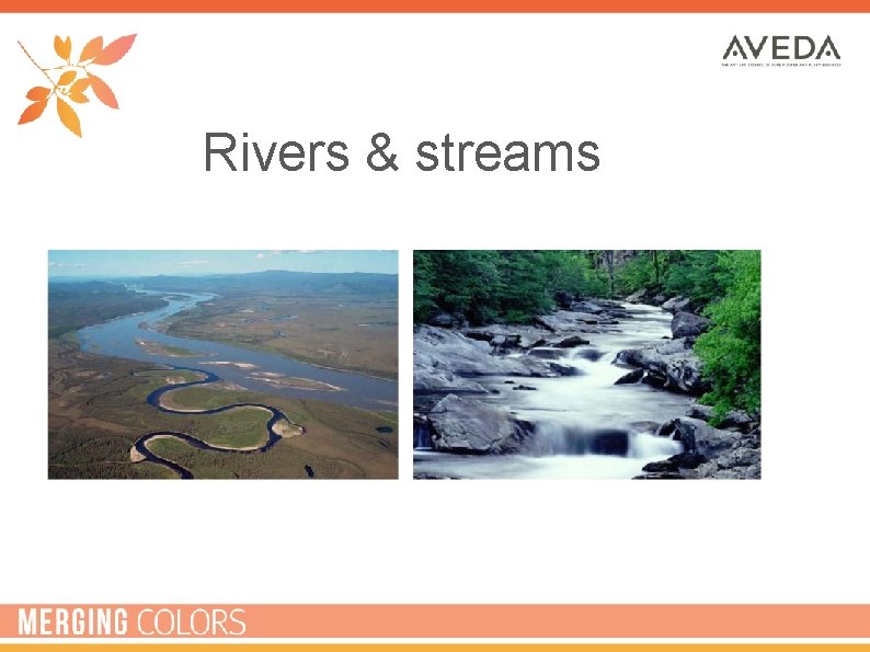 Rivers & streams 