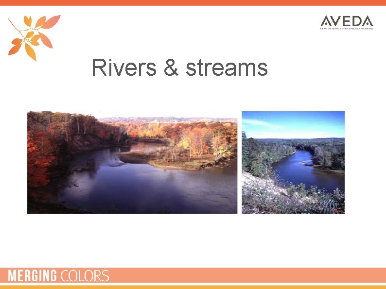 Rivers & streams 