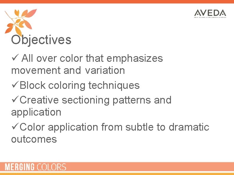 Objectives ü All over color that emphasizes movement and variation üBlock coloring techniques üCreative