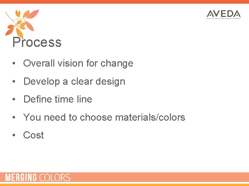 Process • Overall vision for change • Develop a clear design • Define time