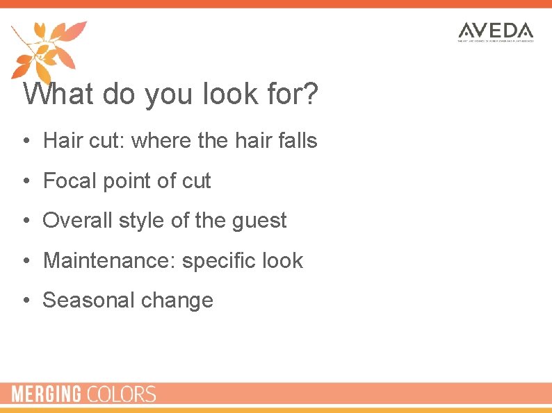 What do you look for? • Hair cut: where the hair falls • Focal