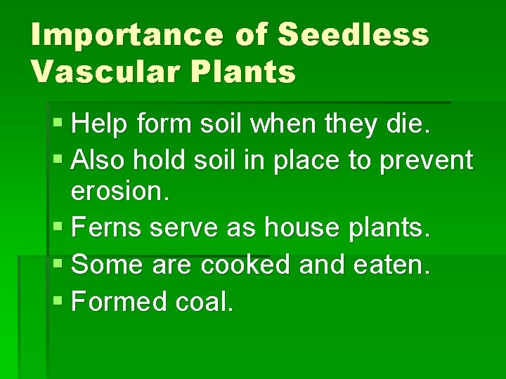 Importance of Seedless Vascular Plants § Help form soil when they die. § Also