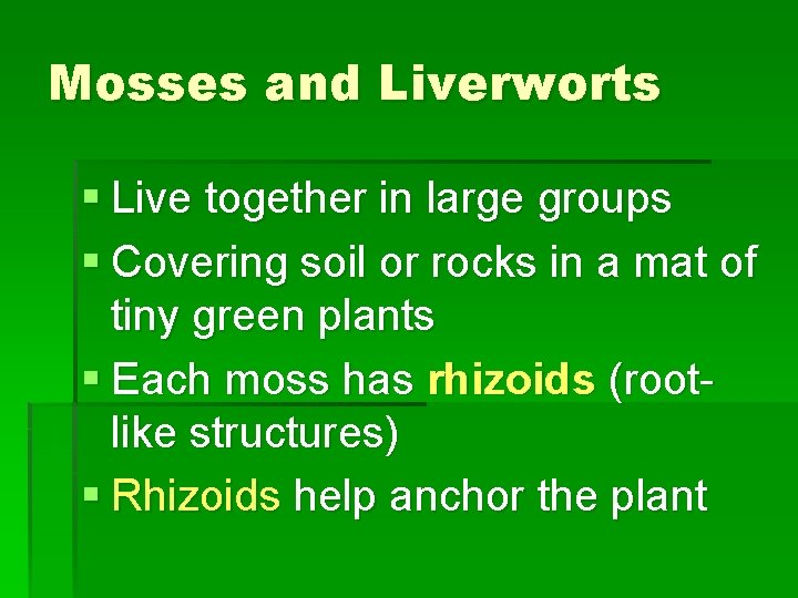 Mosses and Liverworts § Live together in large groups § Covering soil or rocks