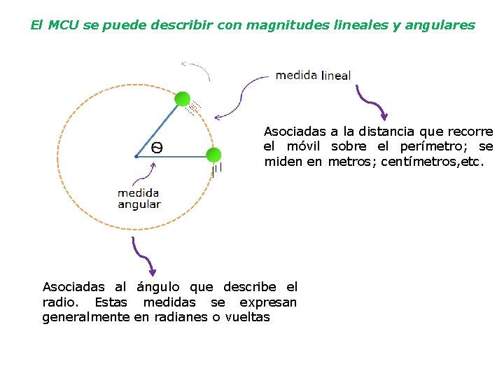 El MCU se puede describir con magnitudes lineales y angulares Asociadas a la distancia