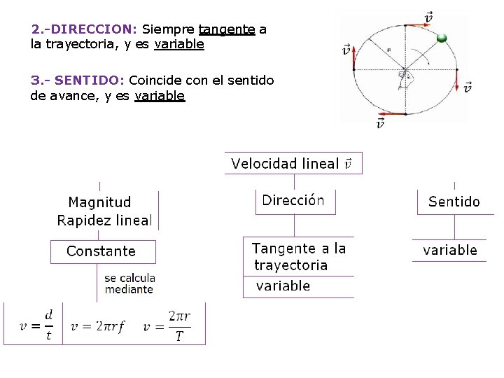 2. -DIRECCION: Siempre tangente a la trayectoria, y es variable 3. - SENTIDO: Coincide