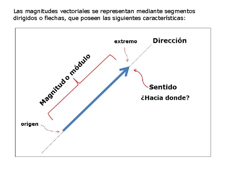 Las magnitudes vectoriales se representan mediante segmentos dirigidos o flechas, que poseen las siguientes