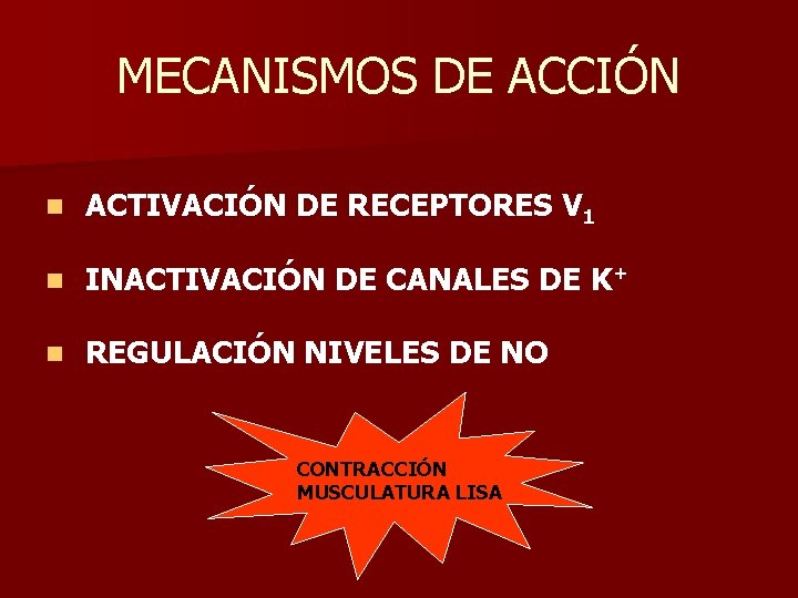 MECANISMOS DE ACCIÓN n ACTIVACIÓN DE RECEPTORES V 1 n INACTIVACIÓN DE CANALES DE