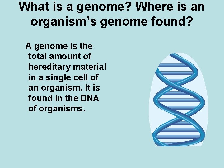 What is a genome? Where is an organism’s genome found? A genome is the