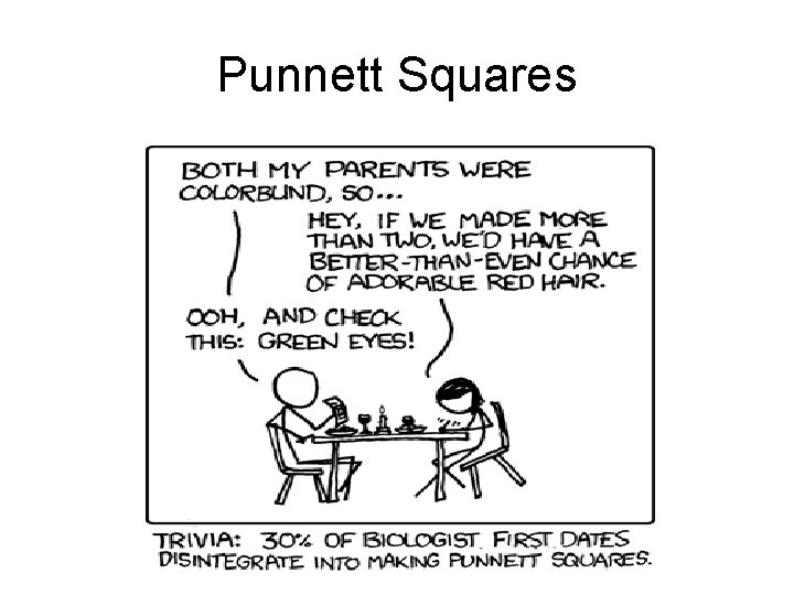 Punnett Squares 