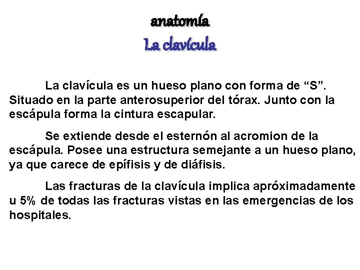 anatomía La clavícula es un hueso plano con forma de “S”. Situado en la