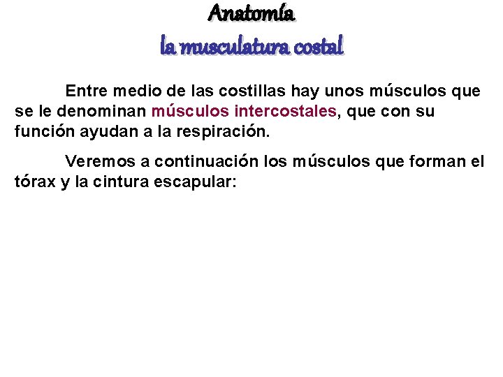Anatomía la musculatura costal Entre medio de las costillas hay unos músculos que se