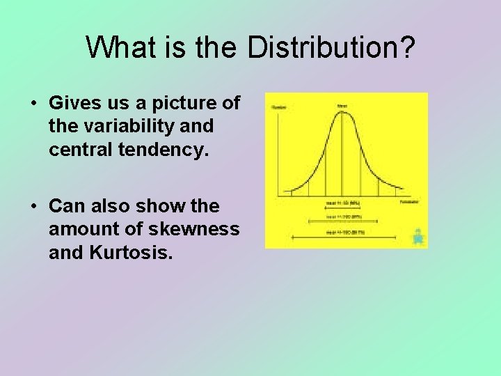 What is the Distribution? • Gives us a picture of the variability and central