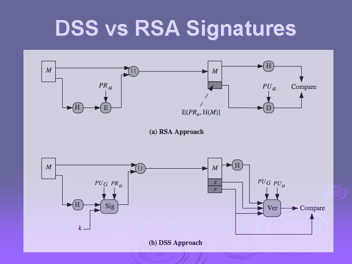 DSS vs RSA Signatures 