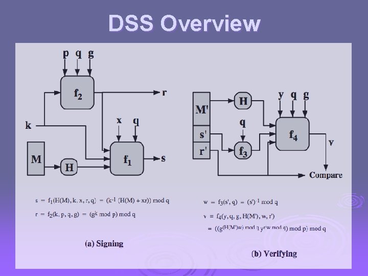 DSS Overview 