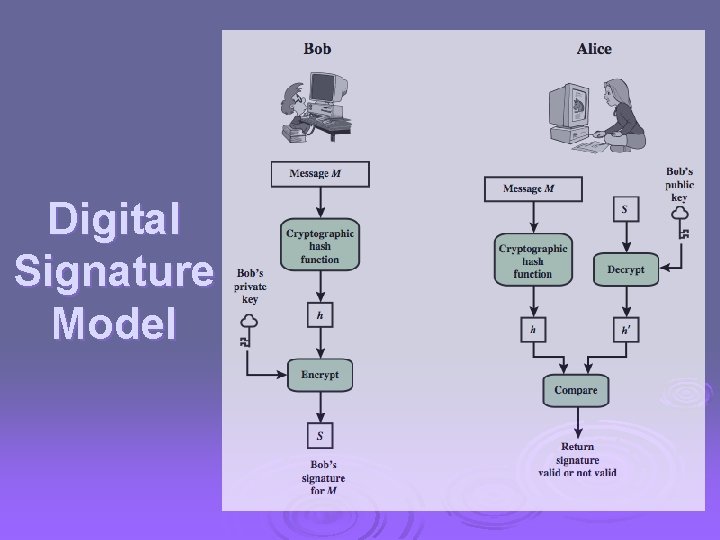 Digital Signature Model 