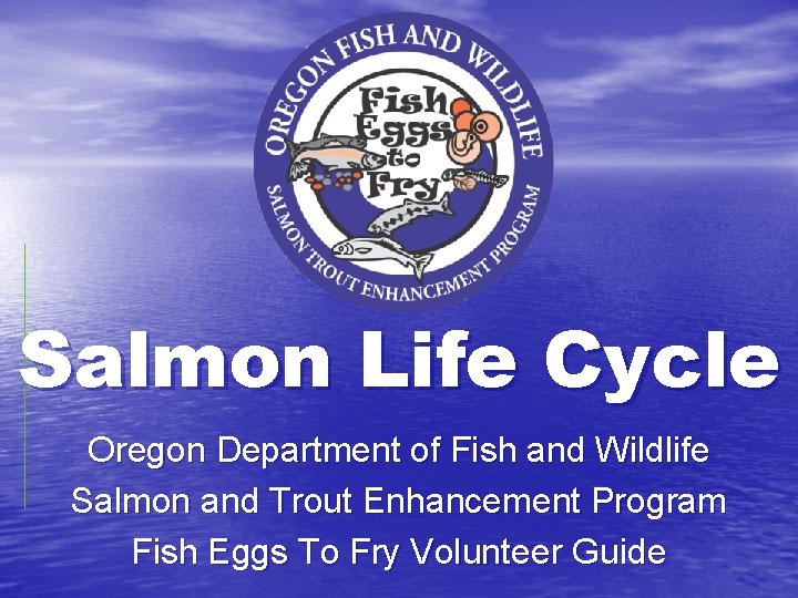 Salmon Life Cycle Oregon Department of Fish and Wildlife Salmon and Trout Enhancement Program