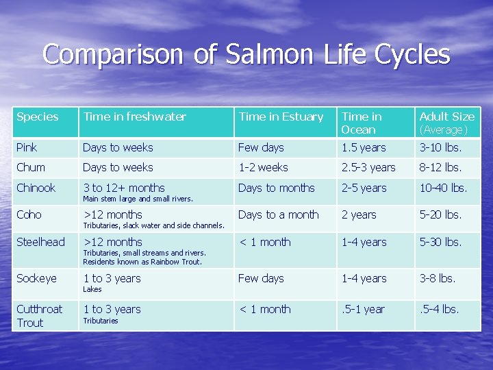 Comparison of Salmon Life Cycles Species Time in freshwater Time in Estuary Time in