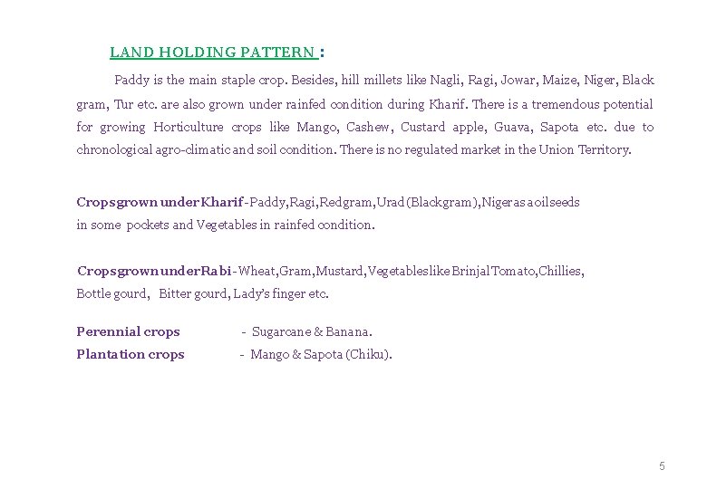 LAND HOLDING PATTERN : Paddy is the main staple crop. Besides, hill millets like