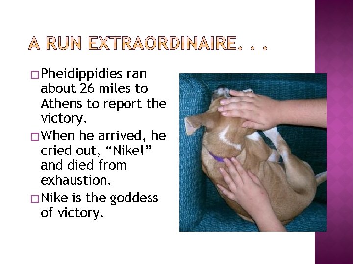 � Pheidippidies ran about 26 miles to Athens to report the victory. � When
