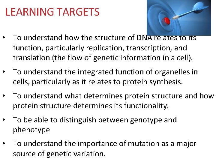 LEARNING TARGETS • To understand how the structure of DNA relates to its function,
