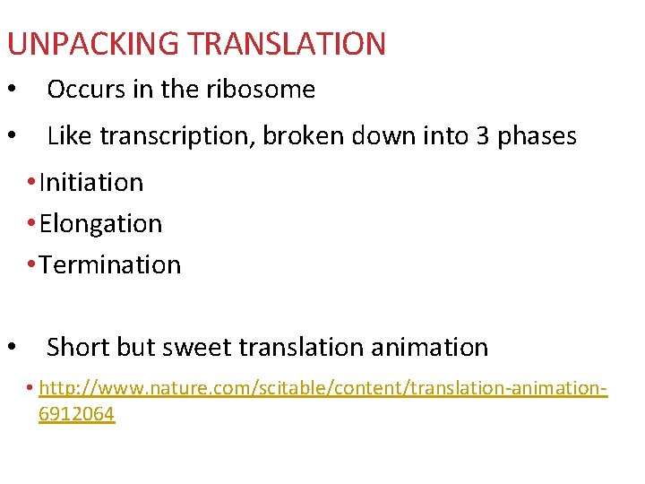 UNPACKING TRANSLATION • Occurs in the ribosome • Like transcription, broken down into 3
