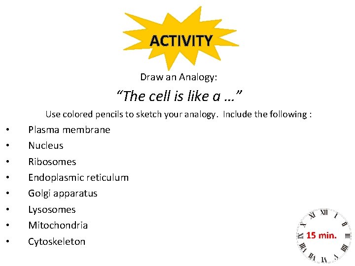 ACTIVITY Draw an Analogy: “The cell is like a …” Use colored pencils to